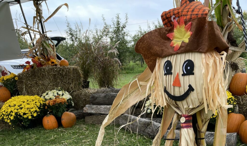 happy scarecrow in fall