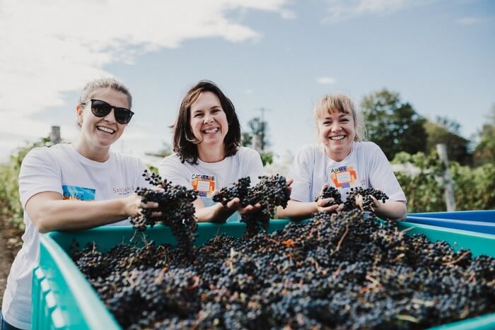 three women holding grapes 