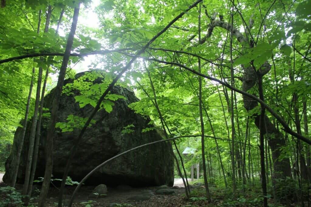 photo of a huge boulder called Bleasdell Boulder just north of Quinte West