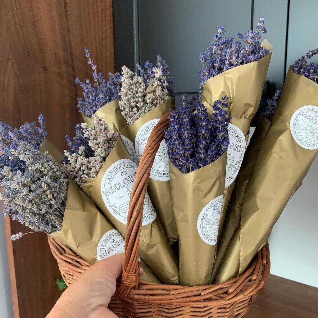 bouquets of lavender. Family fun events can be found at the farm.