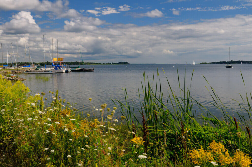 Belleville Ontario marina and nature