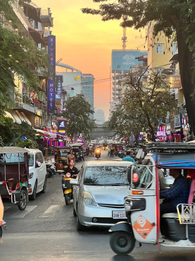 Busy tree-lined street at sunset with different types of vehicles amongst several businesses.