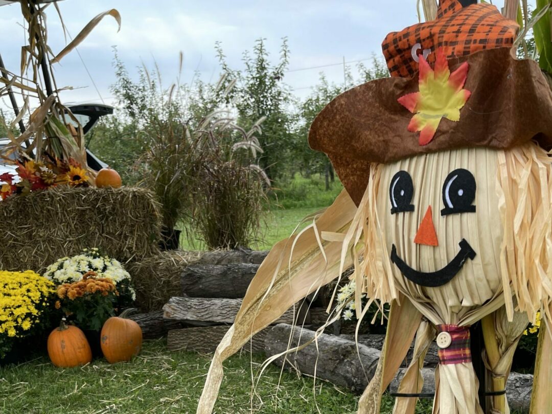 happy scarecrow in fall